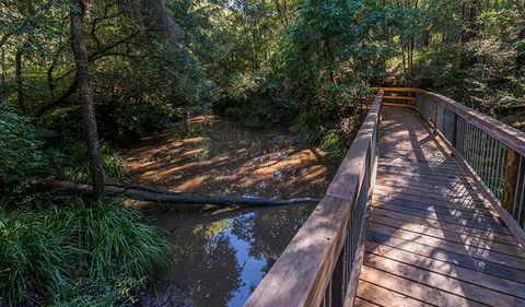 Ms Kellys Walking Track - Airlie Beach Holiday 0