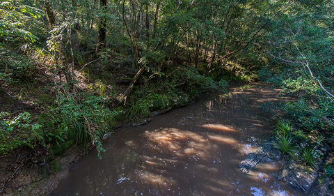 Ms Kellys Walking Track - Airlie Beach Holiday 2