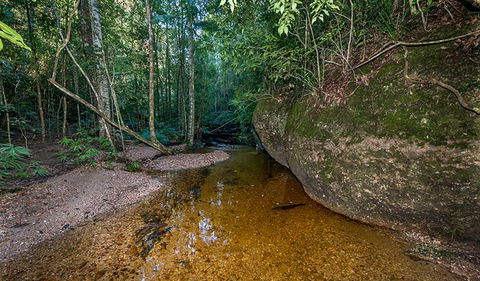 Coorabakh National Park - Airlie Beach Holiday 2