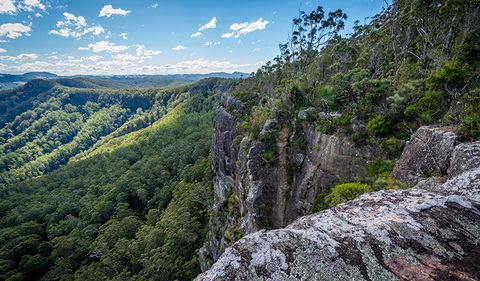 Coorabakh National Park - Airlie Beach Holiday 3
