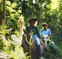 Clarendon Forest Retreat Horse Riding - Airlie Beach Holiday