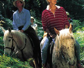 Clarendon Forest Retreat Horse Riding - Airlie Beach Holiday 2