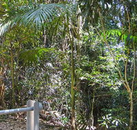 Goorgana walking track - Airlie Beach Holiday