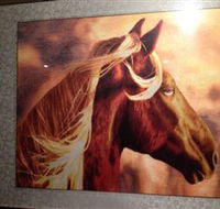 Silk Art Gallery - Airlie Beach Holiday