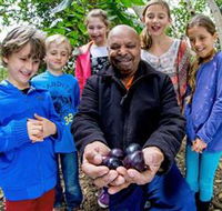 Wigay Aboriginal Culture Park - Airlie Beach Holiday