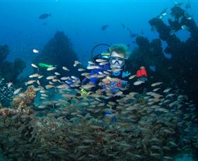 Aarhus Dive Site - Airlie Beach Holiday 0