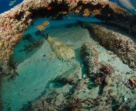 Aarhus Dive Site - Airlie Beach Holiday 3