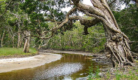 Saltwater National Park - Airlie Beach Holiday 0
