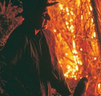 The Shed Gallery - Airlie Beach Holiday