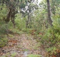 Kinchela Trig Lookout walk - Airlie Beach Holiday