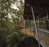 Tarkine Forest Adventures - Dismal Swamp - Airlie Beach Holiday