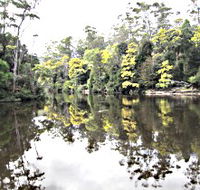 Arthur River - Airlie Beach Holiday