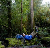 The Tarkine Drive - Airlie Beach Holiday