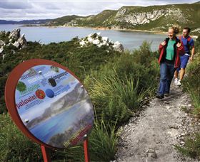 Rocky Cape National Park - Airlie Beach Holiday 0