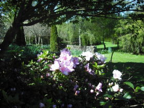 Annsleigh Gardens And Cafe - Airlie Beach Holiday 3