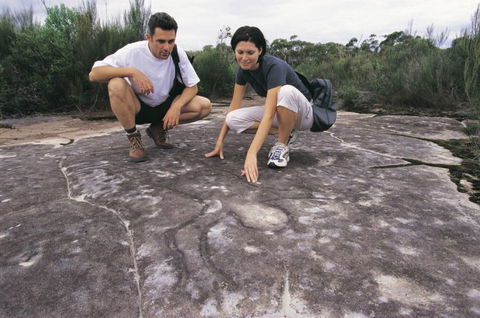 Sydney Coast Walks - Airlie Beach Holiday 4