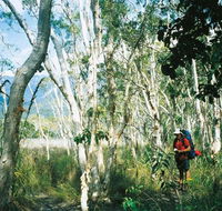 Thorsborne Trail Hinchinbrook Island National Park - Airlie Beach Holiday
