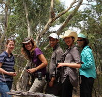 Echidna Walkabout Nature Tours - Airlie Beach Holiday
