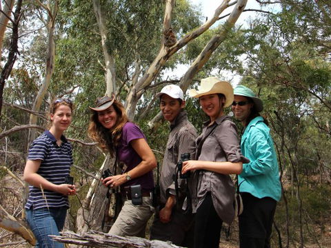 Echidna Walkabout Nature Tours - Airlie Beach Holiday 0