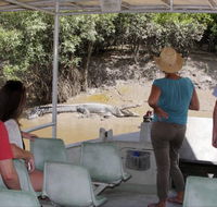 Whitsunday Crocodile Safari - Airlie Beach Holiday