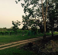 Brierley Wines - Airlie Beach Holiday