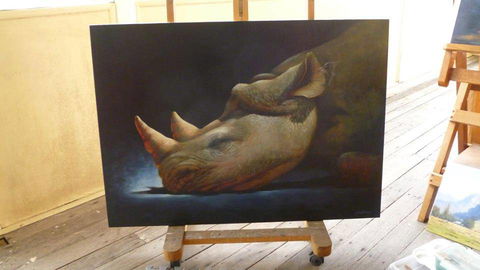 Art On Pallas - Airlie Beach Holiday 0