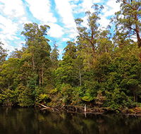 A R Reflections River Cruises - Airlie Beach Holiday