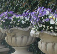 Gardenalia Open Garden and Rare Plant Nursery - Airlie Beach Holiday