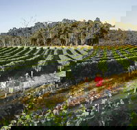 Margaret River Caves Wine and Cape Leeuwin Lighthouse Tour from Perth - Airlie Beach Holiday