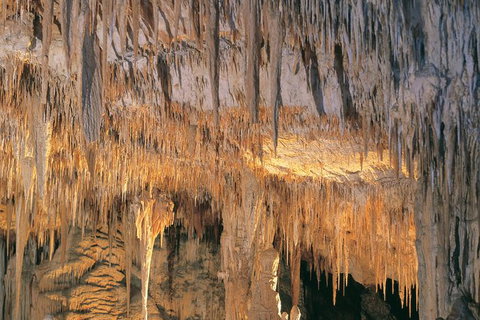 Margaret River, Caves, Wine And Cape Leeuwin Lighthouse Tour From Perth - Airlie Beach Holiday 27