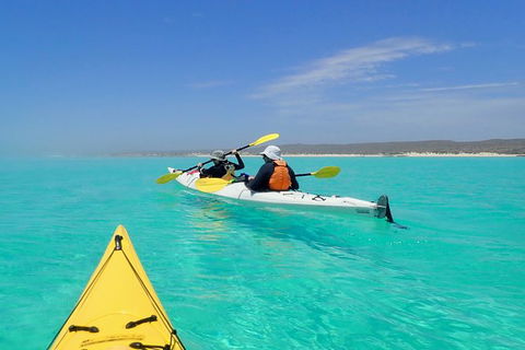 Lagoon Explorer - Ningaloo Reef Full-Day Kayaking And Snorkeling Adventure - Airlie Beach Holiday 7