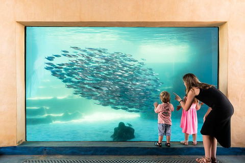 AQWA The Aquarium Of Western Australia: General Admission - Airlie Beach Holiday 0