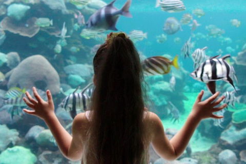 AQWA The Aquarium Of Western Australia: General Admission - Airlie Beach Holiday 1