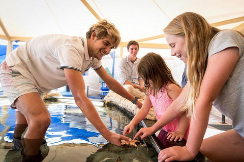 AQWA The Aquarium Of Western Australia: General Admission - Airlie Beach Holiday 5