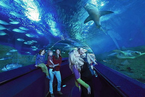 AQWA The Aquarium Of Western Australia: General Admission - Airlie Beach Holiday 14