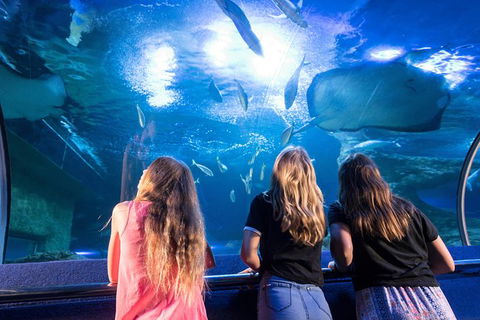 AQWA The Aquarium Of Western Australia: General Admission - Airlie Beach Holiday 7
