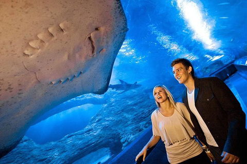 AQWA The Aquarium Of Western Australia: General Admission - Airlie Beach Holiday 6