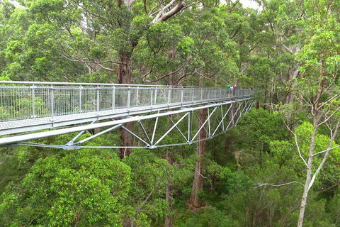 Albany Southwest Wilderness Day Tour - Fly From Perth - Airlie Beach Holiday 0