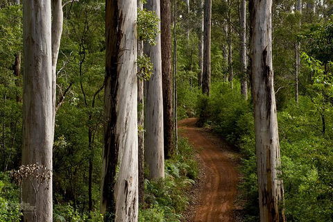 Albany Southwest Wilderness Day Tour - Fly From Perth - Airlie Beach Holiday 6