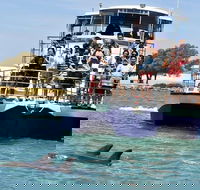 Mandurah Dolphin and Scenic Marine Cruise - Airlie Beach Holiday