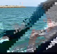 Mandurah Dolphin Island Adventure - Airlie Beach Holiday