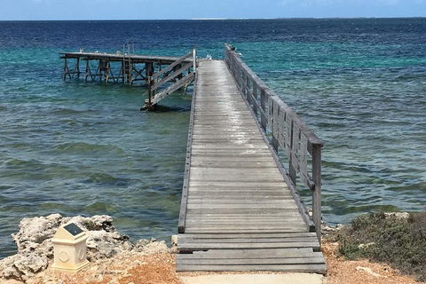 Abrolhos Flyover With Morning Tea On East Wallaby Island - Airlie Beach Holiday 1