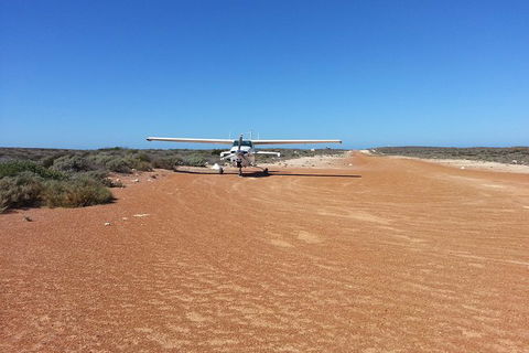 Abrolhos Islands Scenic Flight & Snorkel Adventure From Perth - Airlie Beach Holiday 1