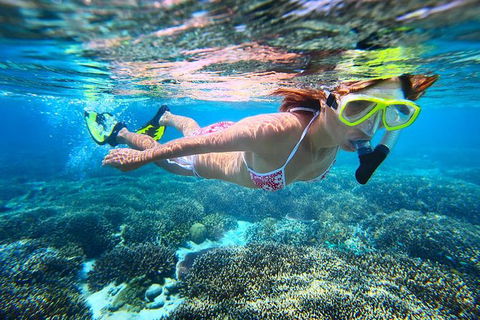 Abrolhos Islands Scenic Flight & Snorkel Adventure From Perth - Airlie Beach Holiday 2