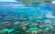 Kalbarri, Pink Lake And Abrolhos Islands Nature Tour - thumb 5