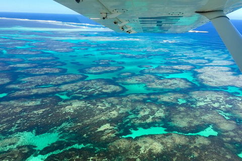 Kalbarri, Pink Lake And Abrolhos Islands Nature Tour - Airlie Beach Holiday 5