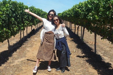 VIP Swan Valley Wine Tour - Premium Small Group Wine & Gourmet Experience - Airlie Beach Holiday 3