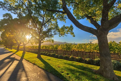 VIP Swan Valley Wine Tour - Premium Small Group Wine & Gourmet Experience - Airlie Beach Holiday 5