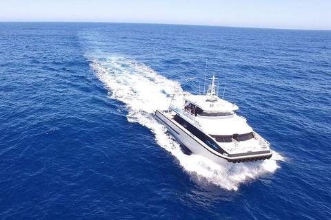 Augusta Whale Watching Eco Tour - Airlie Beach Holiday 8