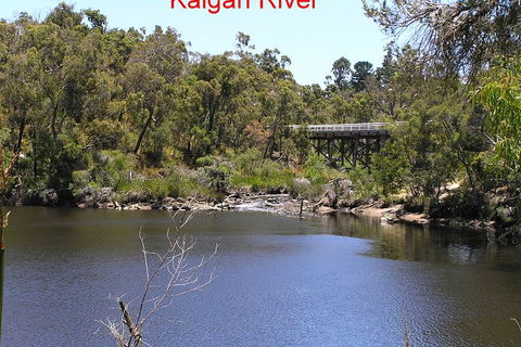 Kalgan Queen Scenic Cruises A Four Hour Sheltered Water Wildlife Tour Daily Fun. - Airlie Beach Holiday 3